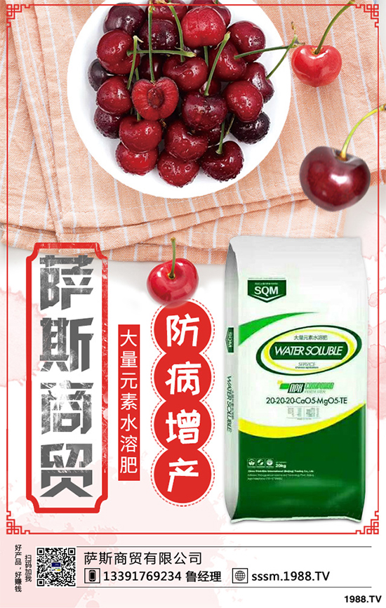 ������ԓ��ηNֲ���紺���׸߮a(ch��n)�Nֲ���g(sh��)Ҫ�c(di��n)