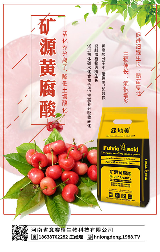 �����������ʩ����2020�괺���׿ƌWʩ�ʽ��h