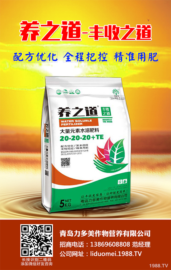 ���{(l��n)��ԓ��ηNֲ�����{(l��n)���߮a(ch��n)�Nֲ���g(sh��)Ҫ�c(di��n)