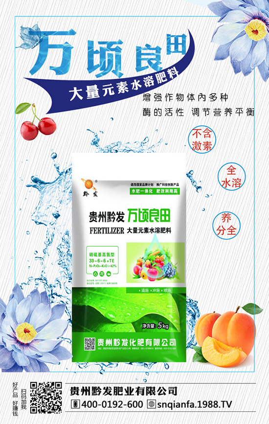 西蘭花育苗技術(shù)有哪些，西蘭花育苗的注意事項(xiàng)！