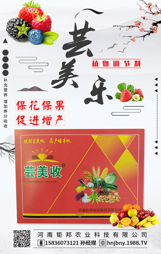 �����׽�����ʲôΣ���������׽����ķ��δ�ʩ��