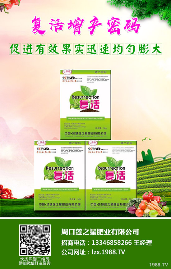 �n�����ʩ�ʣ��n����ʲô���Ϻ���