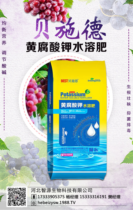 ���ϵ��������ڣ����ϲ��NҪ�c(di��n)���Nֲ�ܶ���