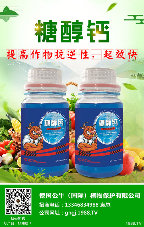 ����ʩ���v����������ʩ���Ľ���