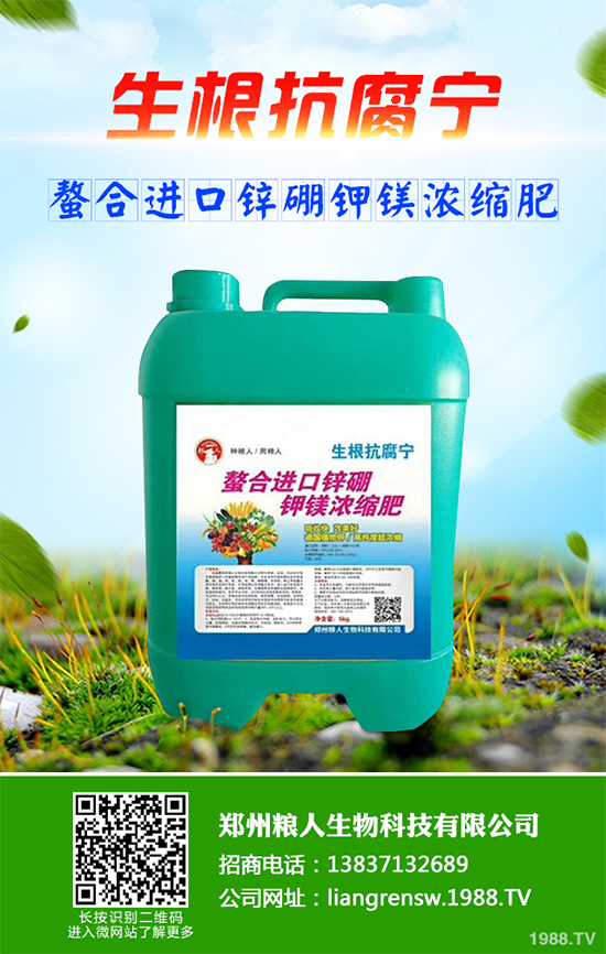 ���~��ԓ��ηNֲ����ˎ�����~��߮a(ch��n)�Nֲ���g(sh��)Ҫ�c(di��n)