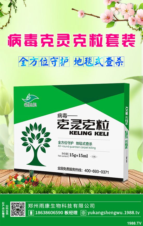 �W�ˌ�Ҫ���á���ɭ�i�\����