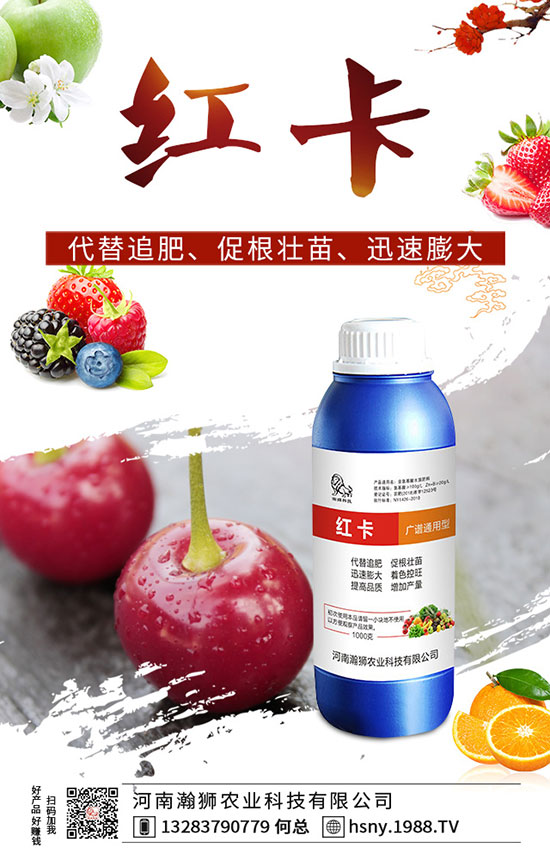 �����������ι�����������������Լ��g(sh��)Ҫ�c(di��n)