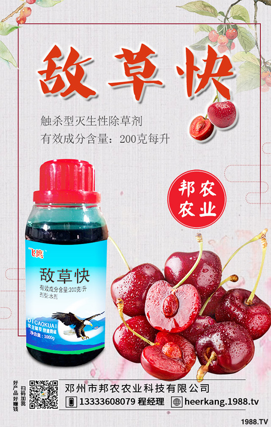 ��(gu��)��(n��i)���݄��r(ji��)��