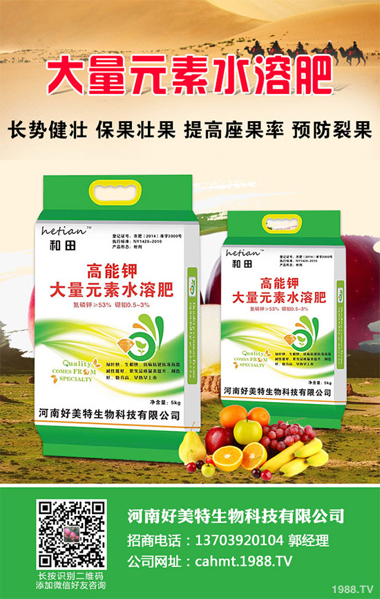 ��(x��)���[��ηNֲ���ܸ߮a(ch��n)����Ҫע��ʲô���@�傀(g��)С���ɷ���һ�£�