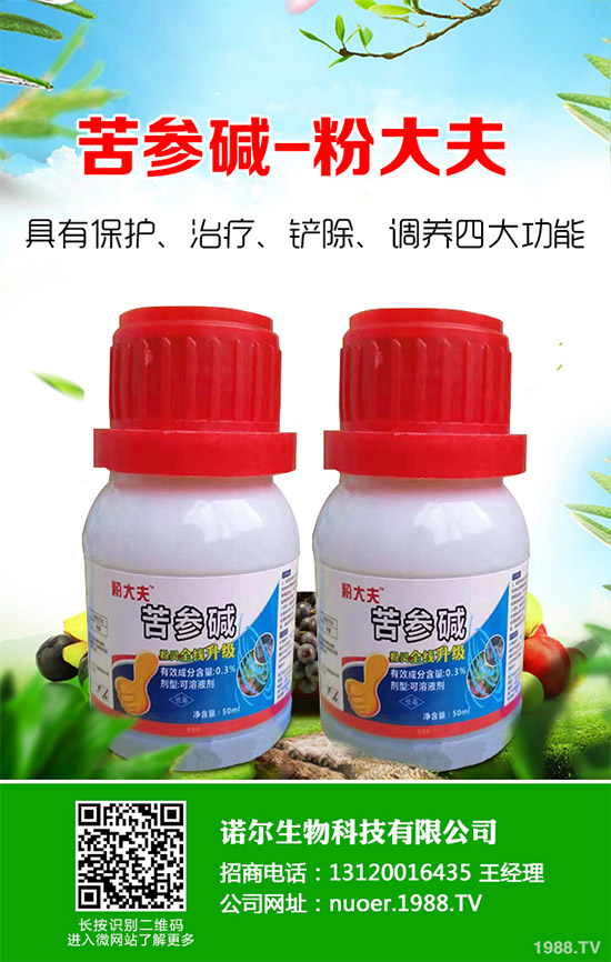 �{�����ӵă�(y��u)�������x���δ��ֲ���Ј��д�������