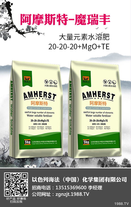 2020�괺����ʲô�r�g���N�������׷Nֲ���g(sh��)