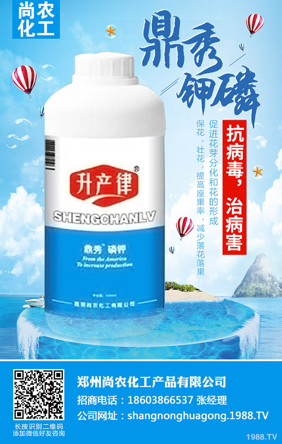     ���{(l��n)���Y(ji��)����ô�k�����{(l��n)���Y(ji��)��ԭ�򼰷��δ�ʩ��