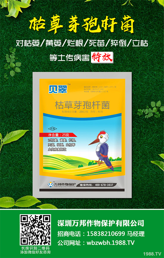 С����ù��ˎ������Ч����������׃����