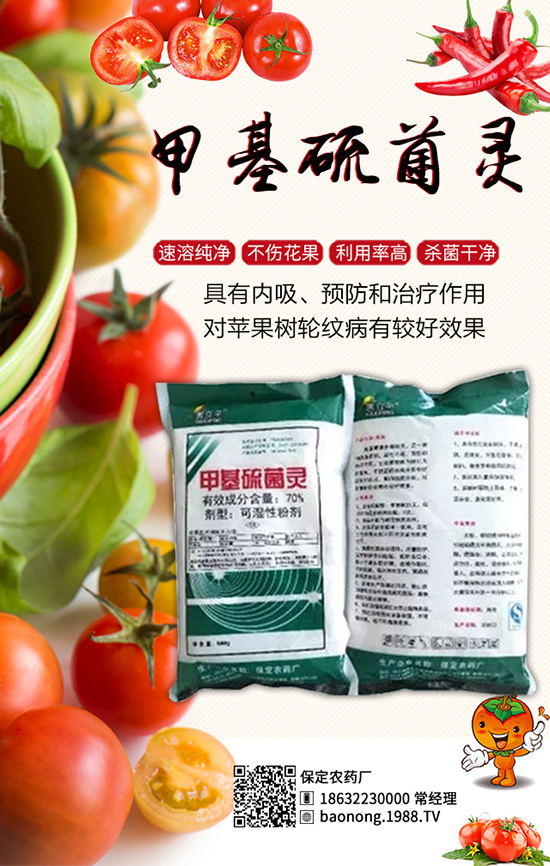 �������t�����༼�g(sh��)���������t�����x��������