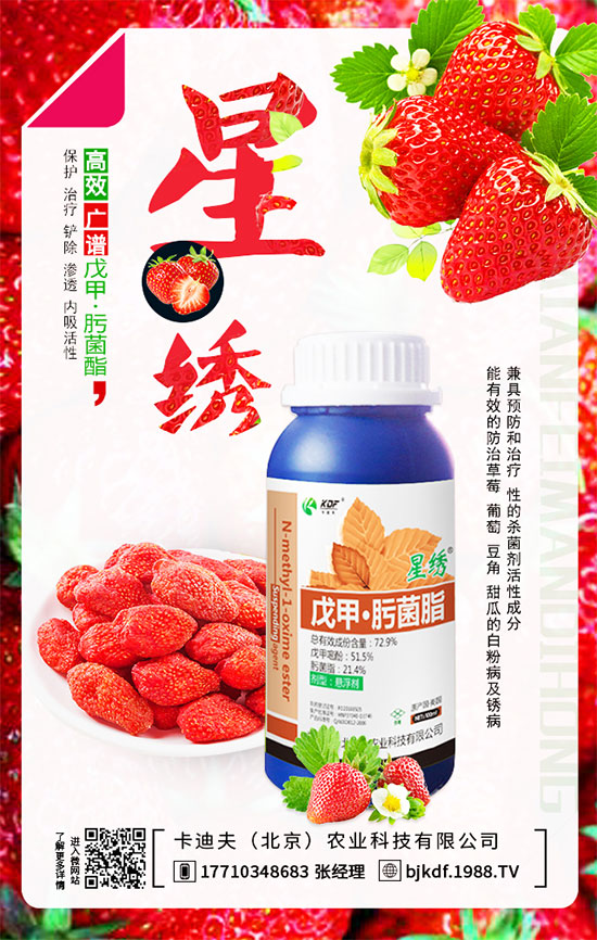 ����Ҫ��Ҫ���������������_��֦�������