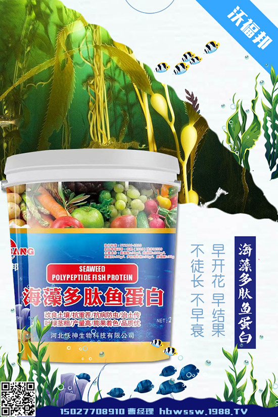     ���ӷNֲ��Ҫע����Щ���}�����ӵ�ˮ�ʹ���Ҫ�c��