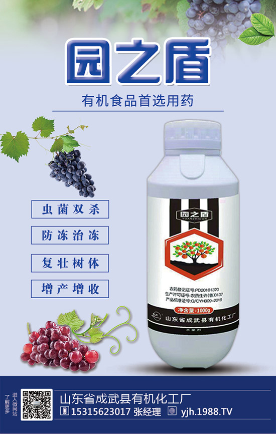 �J�S���ʩ�����J�S��ʲô���Ϻ����J�S������c(di��n)��ע�����(xi��ng)��