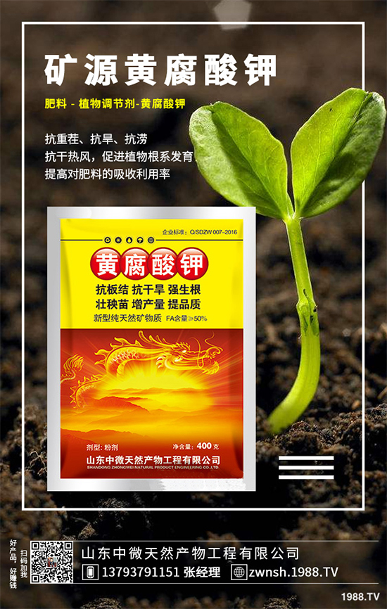 ������ԓ��η�ֳ�������ǵķ�ֳ���g�������