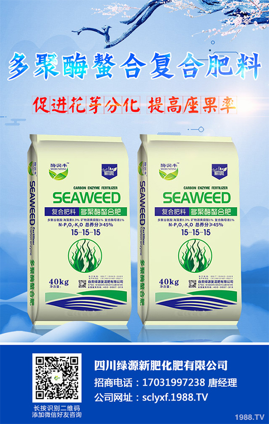 ���տ�ʲô�r�򲥷N��ԓ��ι������߮a(ch��n)���տ��߮a(ch��n)�Nֲ�������g(sh��)