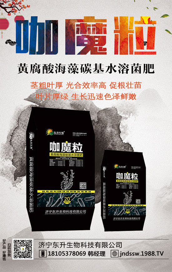 С����ʲô�g�Nֲ�r(sh��)��С���۷Nֲ����Ҫ�c(di��n)��