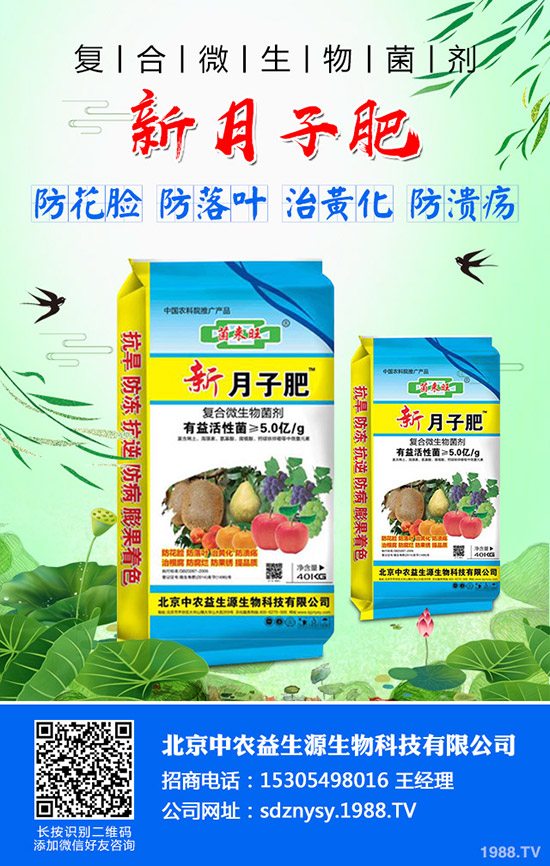     С�����~��ʲô��С�����~����������Щ��С�����~�Q���a(ch��n)��ô��