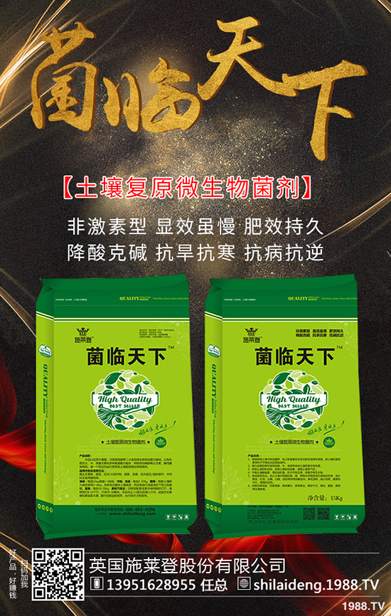 英國(guó)施萊登股份有限公司