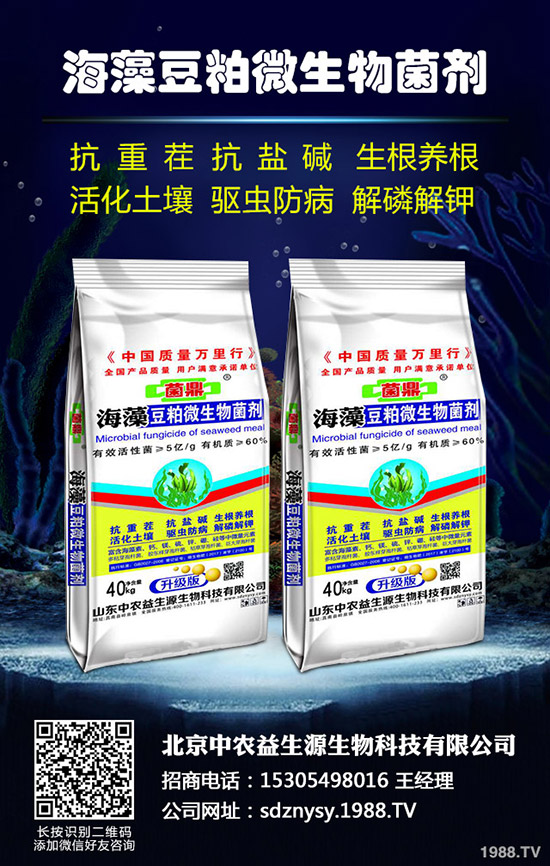     2020-4-8�Zʳ��ȫ�ٶ���������(f��)�Ϸ����鱻������ԭ�����@����