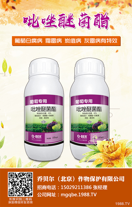     ��ײ˚������r��