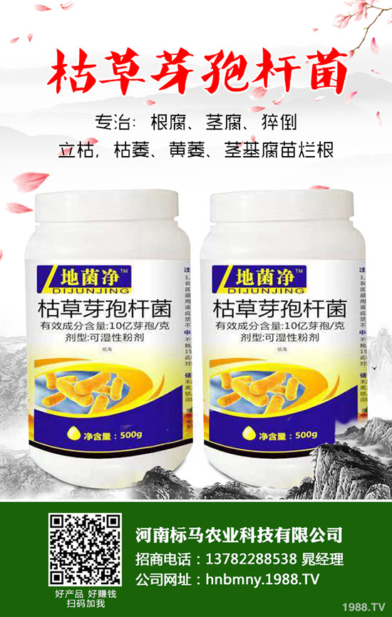 �����ôʩ�������ʩ��Ҫ�c����Щ��