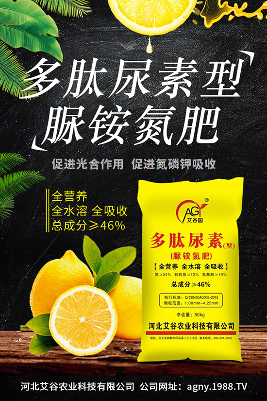 �ļ����NֲҪ�c���ļ������缼�g�����ڹ���