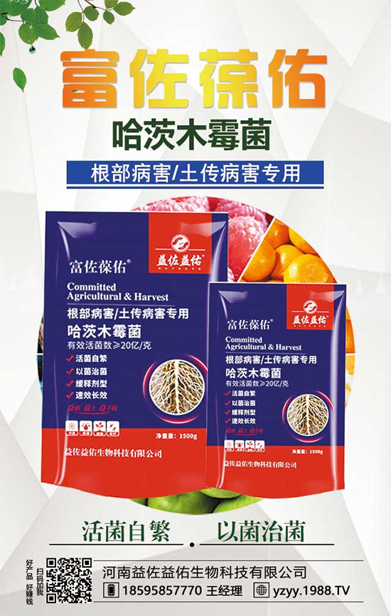 ���^����ʲô�I�B(y��ng)�r(ji��)ֵ�������^��ʲô��̎��