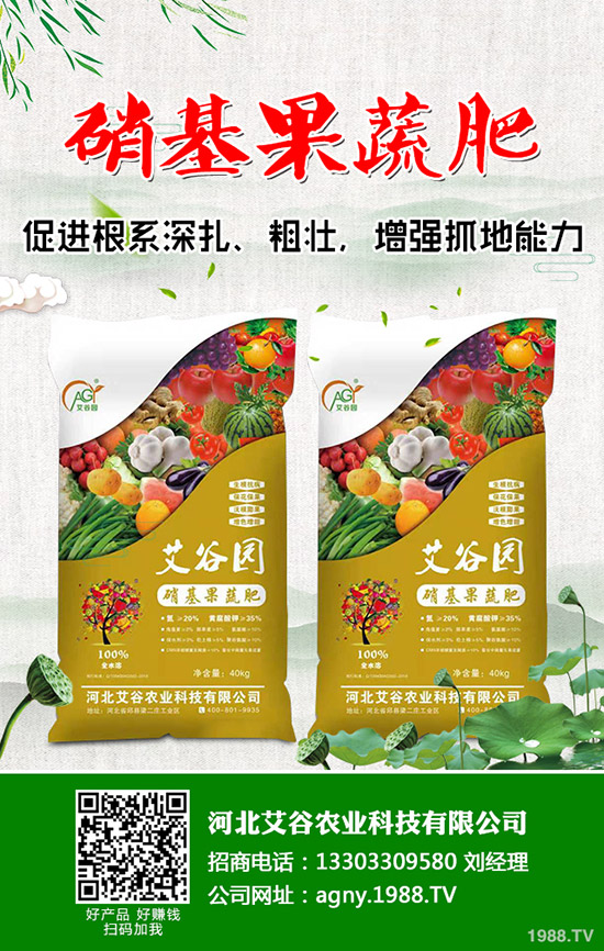     ��һ���ں���⛷������_ʼ���D(zhu��n)��2020��5��11������⛷ʃr(ji��)�����(b��o)��