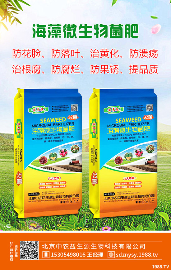 ��ľ������ע�����(xi��ng)����Щ����ľ�����N�xُ(g��u)ע������Щ��