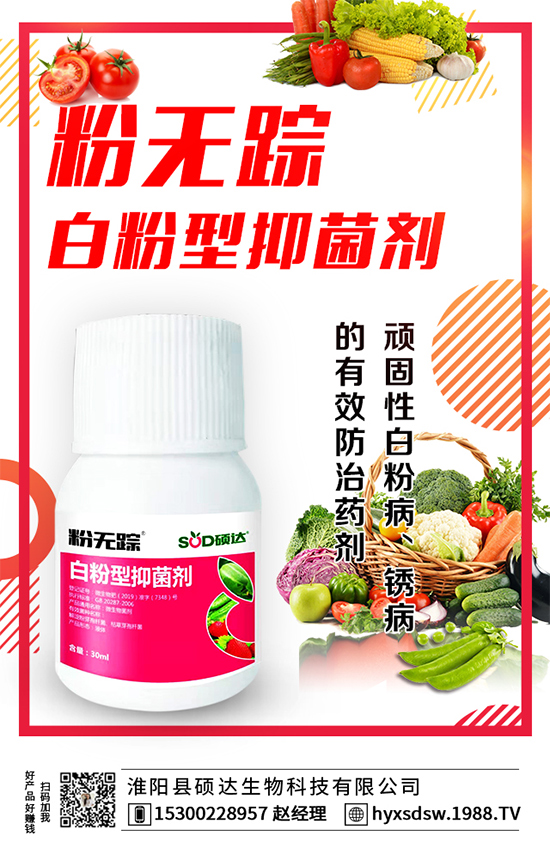 ������ô�Nֲ�������Nֲ���gҪ�c��