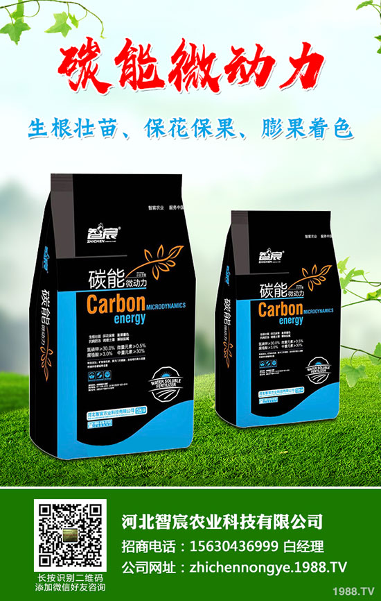 5����(n��i)�׷��Ј���ȥ�Ώ�������һ�@���@�r�������߄��A(y��)�y��