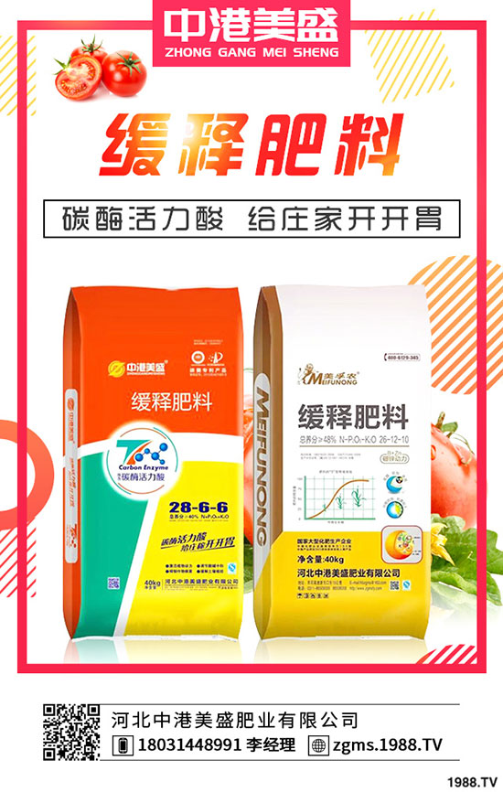 ����Nֲ��ÿ����ի@���Nֲ���һ���ж���������