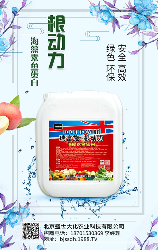 �Ә���ô���綨ֲ��������������M(j��n)�м޽���