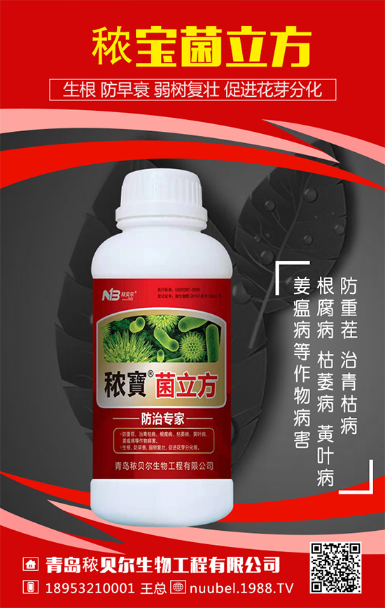 ���J��ô���N���������J�Ĳ��N���������L(zh��ng)�^����