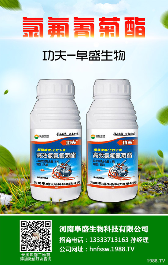 ���x(ch��ng)��������