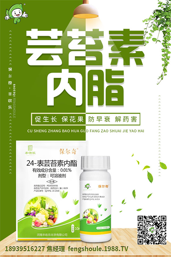 ��ɺ��ԓ��ô�Nֲ����ηNֲ�ܸ߮a(ch��n)����ɺ���߮a(ch��n)�Nֲ���g(sh��)