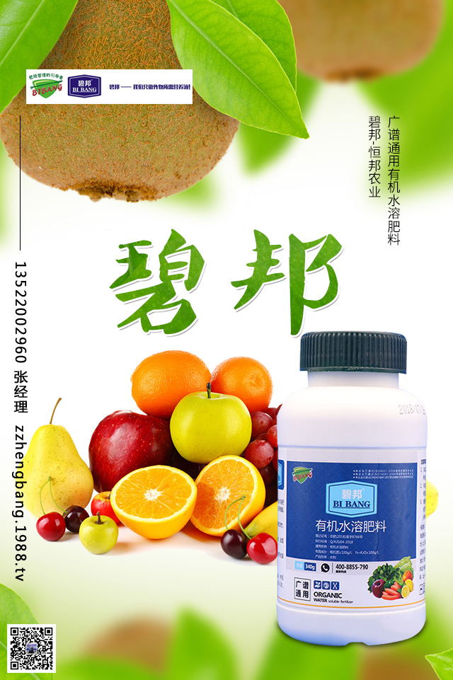 �����������S��(b��o)�r(ji��)