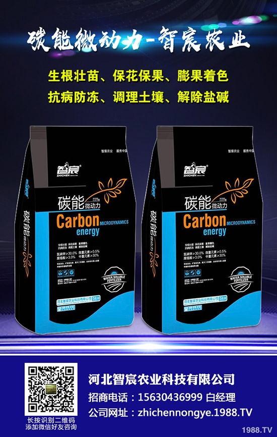 ���ϵ��������������ʩ���Ľ�����