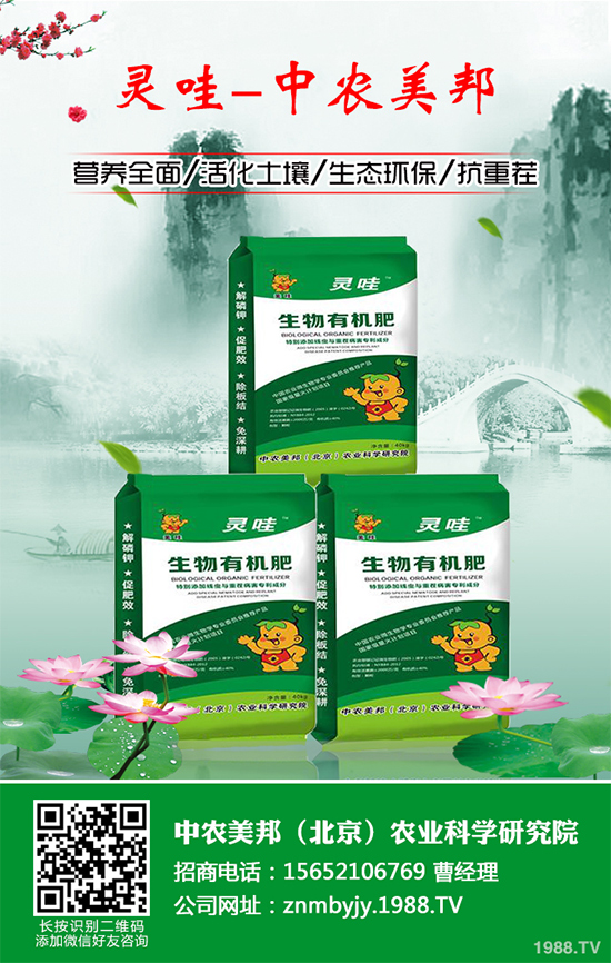 ���᳣Ҋ��������Щ��ԓ����A�������Ს���İl(f��)���c���Σ�