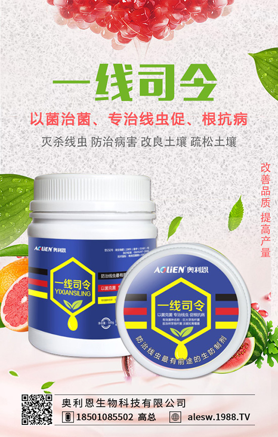 ���X����ô�B(y��ng)�����X���B(y��ng)ֳ��������Щ��