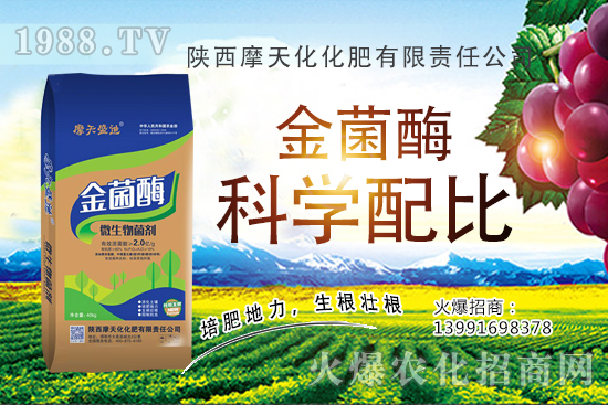 2020�����Nֲǰ����ô���������N�Ӷ����X(qi��n)һ����