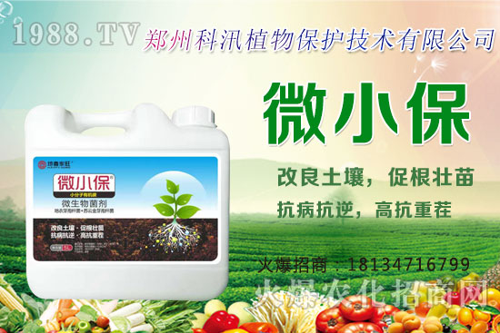 ����Ĺ�Ч�c�����������c�����Ă�(g��)���РI(y��ng)�B(y��ng)��