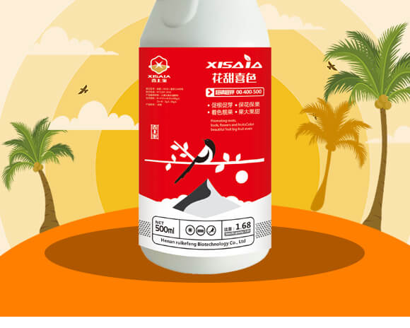 ���׳��00-400-500-����ϲɫ-ϲ�ϼ�_02