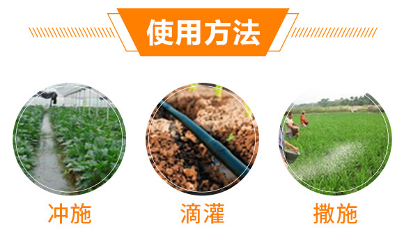 ���Y(ji��)���x��Ч̎�턩-��������_07