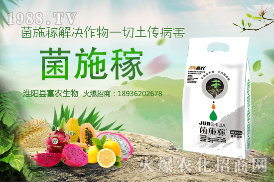 2020���r(n��ng)��NҰ��ٍ�X�����x����ЩҰ��Ʒ�NЧ��������h�ղ���