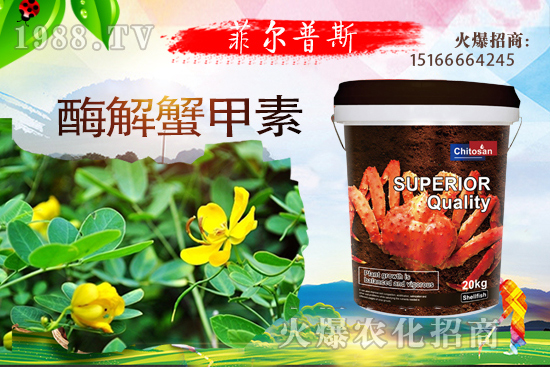 ������ô�Nֲ�������Nֲ���g(sh��)Ҫ�c(di��n)��